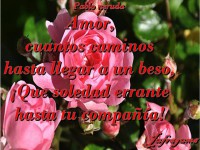 /album/fotogaleria/cuantos-caminos-jpg/